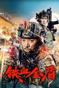 铁血金盾