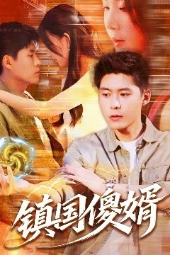 镇国傻婿