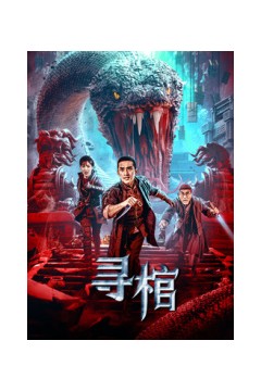 寻棺