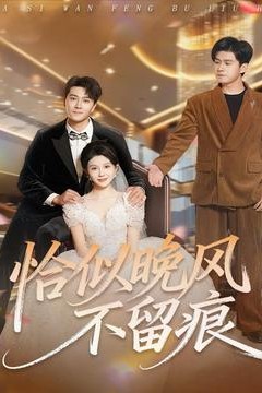 恰似晚风不留痕