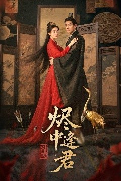 烬中逢君