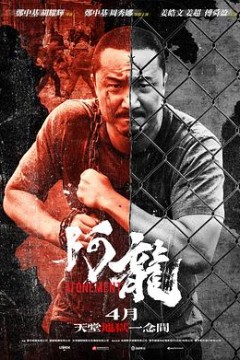 再见阿龙粤语