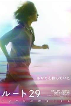 国道29号