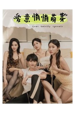 爱意悄悄萌芽