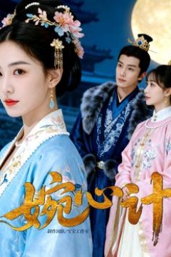 婉心计