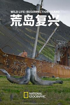 荒岛复兴