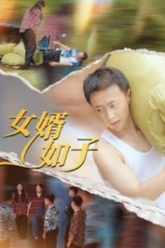 女婿如子