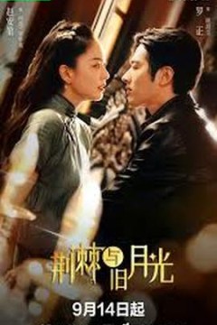荆棘与月光