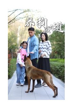 养狗应有道