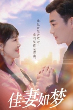 佳妻如梦