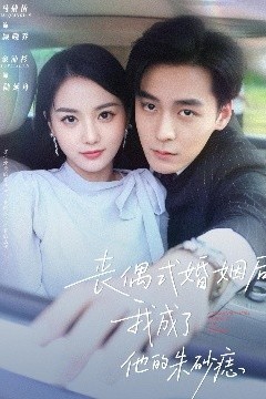 丧偶式婚姻后我成了他的朱砂痣