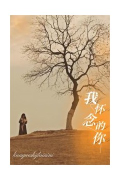 我怀念的你