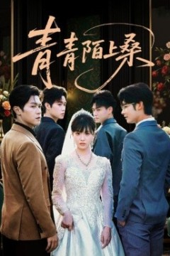 青青陌上桑