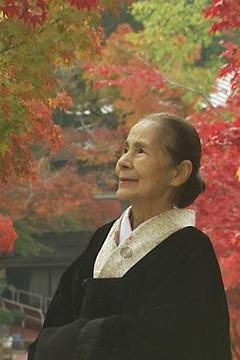 茶道之旅