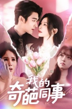 我的奇葩同事