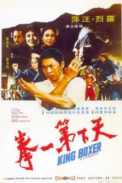 天下第一拳