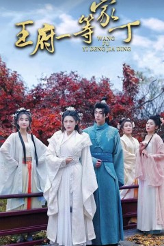 王府一等家丁