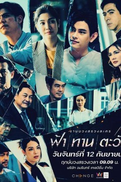天食向日葵