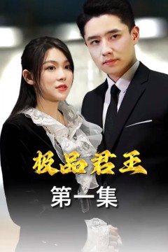 极品君王