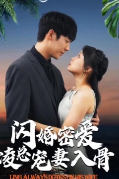 闪婚蜜爱凌总宠妻入骨&闪婚老公轻点宠&一不小心爱上你
