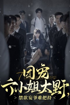 团宠六小姐太野，禁欲妄爷难把持