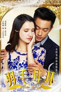 羽毛耳环