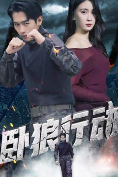 卧狼行动