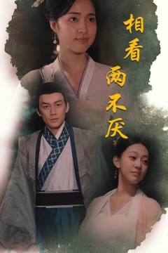 相看两不厌这个王妃不好惹