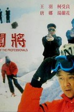 闯将