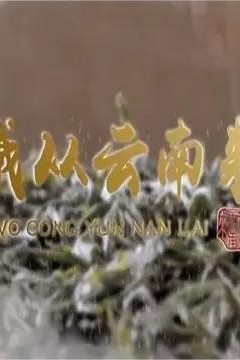 我从云南来