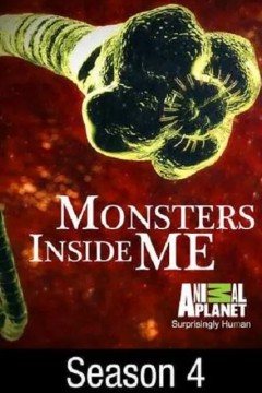 体内的怪物第四季