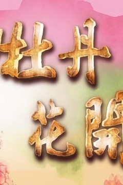 牡丹花开