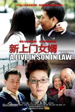 新上门女婿2010