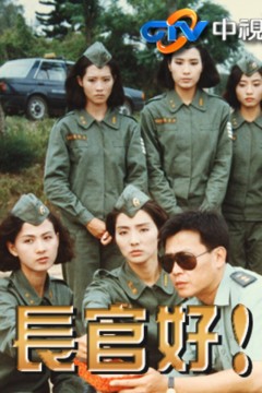 长官好