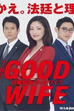傲骨贤妻2019
