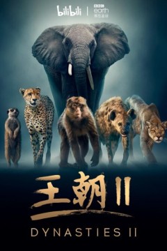 王朝第二季