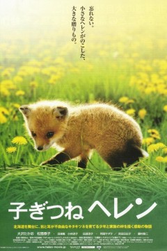 子狐物语