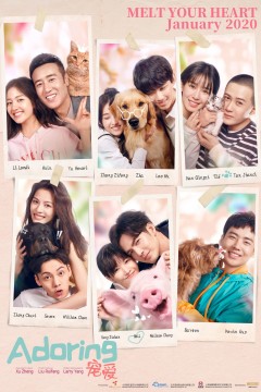宠爱2019