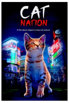 猫咪国度