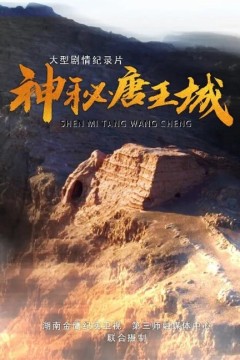 神秘唐王城