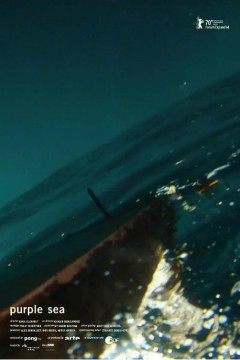 紫海