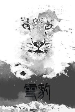 雪豹2015