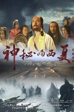 神秘的西夏