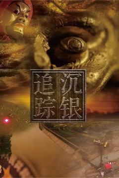 沉银追踪