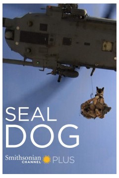 海豹突击犬2015