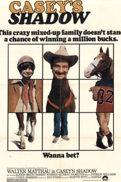 骏马落难记