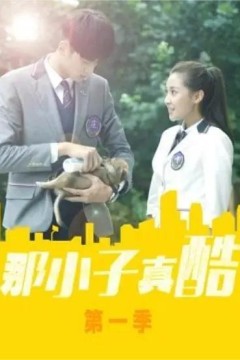 那小子真酷