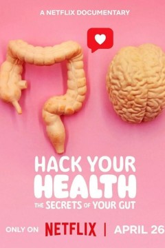 健康解密：肠道的奥秘