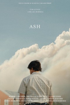 森林灰烬