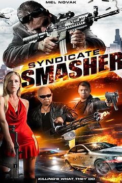 辛迪加捣碎机
